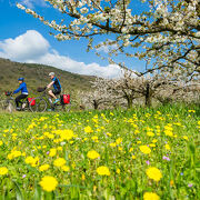 © ViaRhôna - <em>Christian Martelet - Auvergne-Rhône-Alpes Tourisme</em>