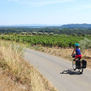 © EV17 - ViaRhôna Etappe 18 - Caderousse > Avignon - <em>France Vélo Tourisme</em>