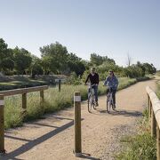 © ViaRhôna 25 - Arles > Port-St-Louis-du-Rhône - <em>CRT PACA - T.Seray</em>