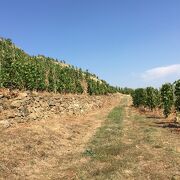 © Rochevine - <em>©AlexandreDiaz</em>