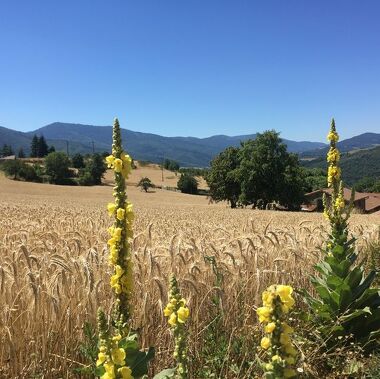 © Toissieu - <em>©EmilieVerdier</em>