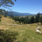 © Toissieu - <em>©EmilieVerdier</em>