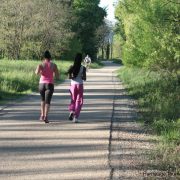 © ViaRhôna, Radveg im Ardèche-Hermitage - <em>Hermitage Tournonais  Tourisme</em>