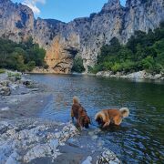 © Lou Visetto - Floreta, gîte 3* - <em>Lou Visetto</em>