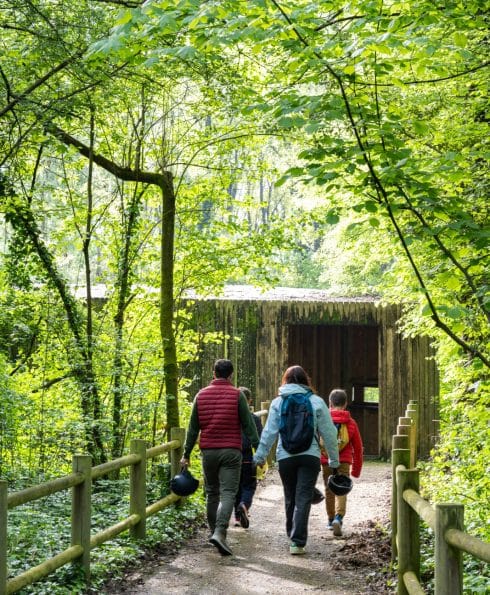 Il du Beurre - sortie en famille - nature et forêt